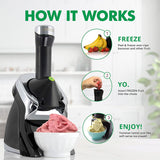 Frozen Fruit Soft Serve Dessert Maker